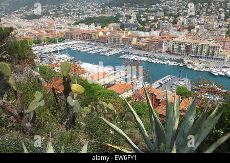 Vue sur le vieux port Nice France avec des plantes exotiques dans l'avant-plan Banque D'Images