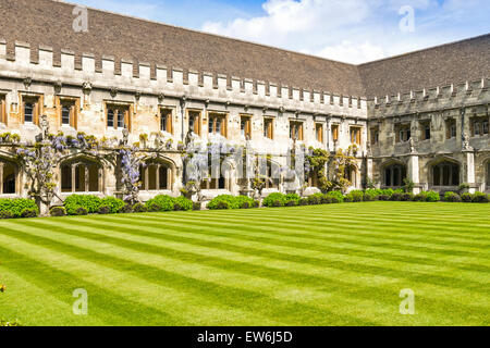 La ville d'OXFORD MAGDALEN COLLEGE DE GLYCINE en fleurs à l'extérieur du cloître Banque D'Images