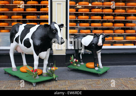 Des modèles grandeur nature de vache et veau avec roues de fromage à l'extérieur de la fromagerie Willig dans la place du marché, à Delft, Pays Bas Banque D'Images