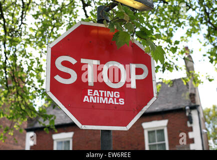 Inscrivez-vous sur "STOP", à laquelle quelqu'un a ajouté "MANGER DES ANIMAUX", Melbourne, Derbyshire. Banque D'Images