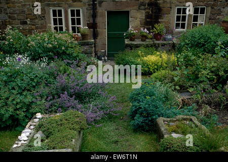 Ancien puits en pierre planté avec des plantes alpines en désordre jardin de devant avec cataire Banque D'Images