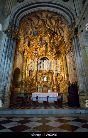 Autel latéral du Rosaire à saint Marie de l'assomption basilique en Arcos de la frontera espagne Banque D'Images