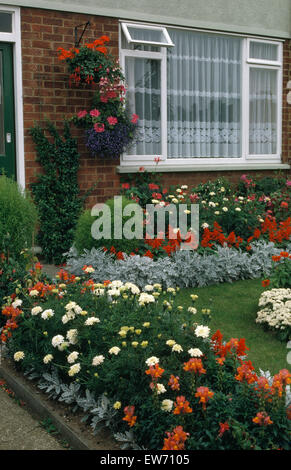 De plus en plus colorés des annuelles d'été dans les frontières en jardin à l'avant d'une petite maison de banlieue 70 Banque D'Images