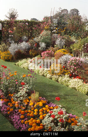 Annuelles d'été colorés dans des frontières en 1970 jardin de banlieue Banque D'Images