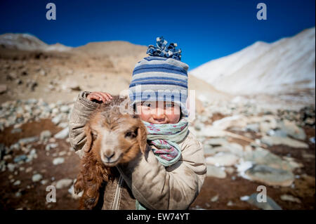 Jeune fille jouant avec Changpa Chèvre Pashmina cub Banque D'Images