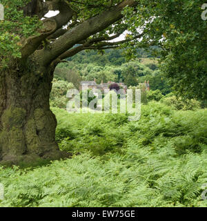 Village de Newtown Linford vu à travers Oak Trees de Bradgate Park, Leicestershire, Angleterre, Royaume-Uni. Banque D'Images