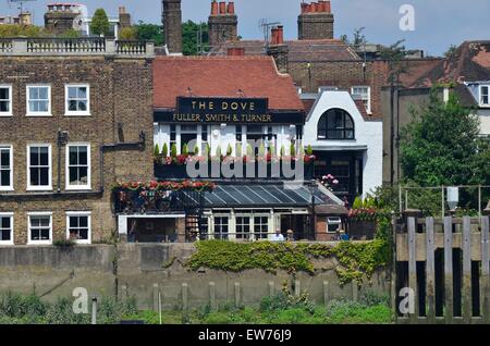 La pub Dove, Upper Mall, Hammersmith, London, England, UK Banque D'Images