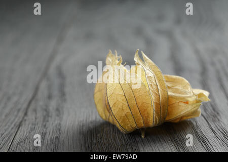 Physalis des fruits sur la table en bois de chêne Banque D'Images