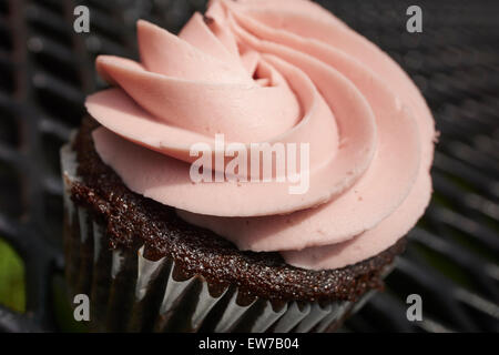Cupcake chocolat-framboise d'un Lancaster, Pennsylvanie camion alimentaire (USA) Banque D'Images