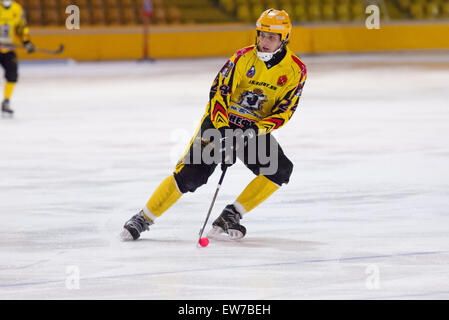 Moscou - le 12 décembre 2014 : Antipov A. (24) en action au cours de la ligue russe bandy Dynamo Moscou vs SKA dans Krilatskoe Neftyanik sport palace, Moscou, Russie. Dynamo a remporté 9:1 Banque D'Images