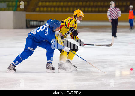 Moscou - le 12 décembre 2014 : Shamsutov R. (8, b) et Antipov A. (24 ans), en action pendant le match de la ligue russe bandy Dynamo Moscou vs SKA dans Krilatskoe Neftyanik sport palace, Moscou, Russie. Dynamo a remporté 9:1 Banque D'Images