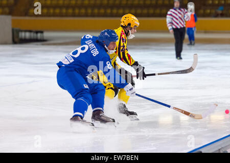 Moscou - le 12 décembre 2014 : Shamsutov R. (8, b) et Antipov A. (24 ans), en action pendant le match de la ligue russe bandy Dynamo Moscou vs SKA dans Krilatskoe Neftyanik sport palace, Moscou, Russie. Dynamo a remporté 9:1 Banque D'Images