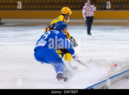 Moscou - le 12 décembre 2014 : Shamsutov R. (8, b) et Antipov A. (24 ans), en action pendant le match de la ligue russe bandy Dynamo Moscou vs SKA dans Krilatskoe Neftyanik sport palace, Moscou, Russie. Dynamo a remporté 9:1 Banque D'Images