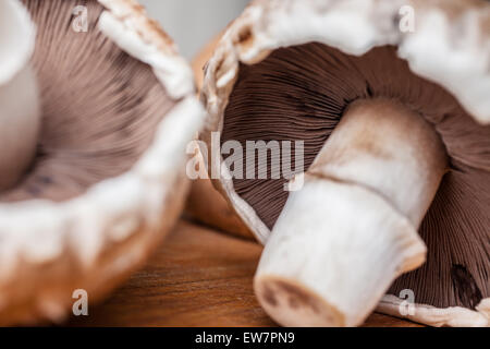 Gros plan sur deux big brown champignon champignons sur planche à découper en bois Banque D'Images