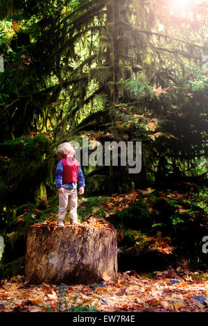 Garçon debout sur un tronc d'arbre dans les bois à la recherche le ciel Banque D'Images