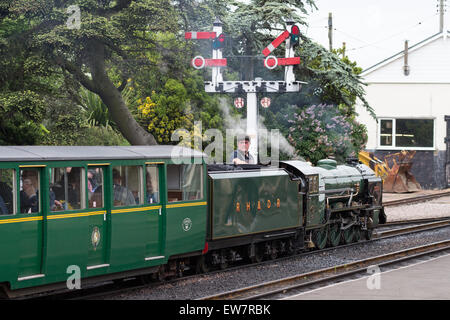 Petit train à vapeur sur le Romney, Hythe et Dymchurch Railway, Kent, Angleterre Banque D'Images