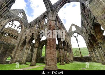 Abbaye de Tintern, Monmouthshire, Wales, UK Banque D'Images