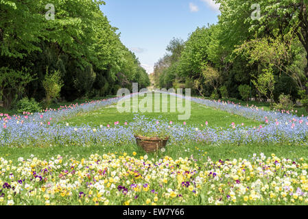 Les jardins Cismigiu (Cismigiu Parcul) est l'un des plus grands et plus beaux parcs publics dans le centre-ville de Bucarest construite en 1847 Banque D'Images