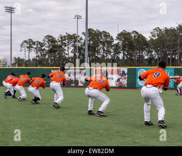 Myrtle Beach, L.C. (USA. 28 Février, 2015. Pratiques Virginie bunting avant leur jeu avec la Seton Hall at Ripken Expérience dans Myrtle Beach, Caroline du Sud © csm/Alamy Live News Banque D'Images