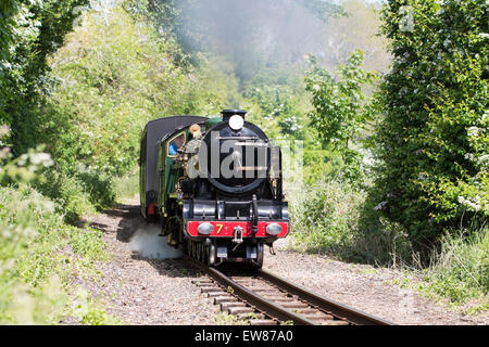 Petit train à vapeur sur le Romney, Hythe et Dymchurch Railway, Kent, Angleterre Banque D'Images