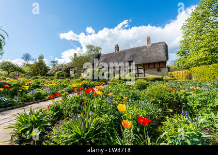 Anne Hathaway's Cottage et jardins à Stratford upon Avon a été la maison d'Anne Hathaway, la femme de William Shakespeare Banque D'Images