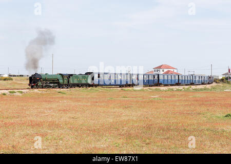 Petit train à vapeur sur le Romney, Hythe et Dymchurch Railway, Kent, Angleterre Banque D'Images