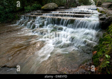 Cascade dans le domaine de Newstead Abbey, Nottinghamshire England UK Banque D'Images