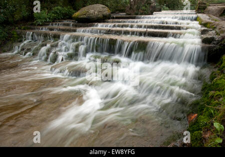 Cascade dans le domaine de Newstead Abbey dans le Nottinghamshire, Angleterre, Royaume-Uni Banque D'Images