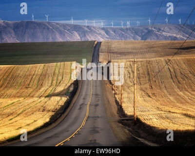 Backroad et éoliennes dans Sherman comté près de la Columbia River Gorge, Oregon Banque D'Images