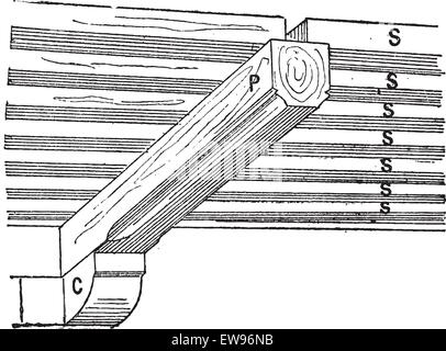Vieille illustration gravée de fermes (architecture) avec (SS), de poutrelles P (croisement) (C) en porte-à-faux. Dictionnaire des mots et des choses - Lar Illustration de Vecteur