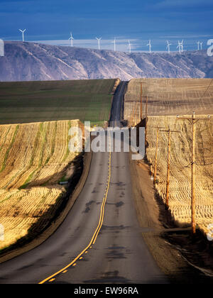 Route de campagne et les éoliennes dans Sherman comté près de la Columbia River Gorge, Oregon Banque D'Images