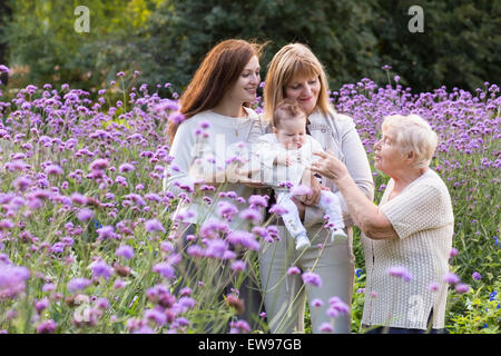 Quatre générations de belles femmes debout dans un champ de lavande Banque D'Images