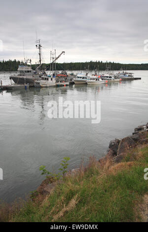 Bateaux de pêche commerciale, les senneurs et les fileyeurs, attaché au quai, Port Edward, Prince Rupert (Colombie-Britannique) Banque D'Images