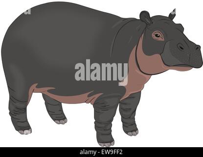 Ou hippopotame Hippopotamus amphibius, noir et brun, vector illustration Illustration de Vecteur