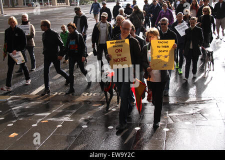 Sydney, Australie. 21 juin 2015. Les propriétaires de lévriers et partisanes ont marché à partir de la bibliothèque de l'État autour de Hyde Park pour promouvoir l'adoption de lévriers et mieux faire connaître le sort des lévriers de course en Australie. Crédit : Richard Milnes/Alamy Live News Banque D'Images