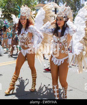 Summer Solstice Parade Banque D'Images