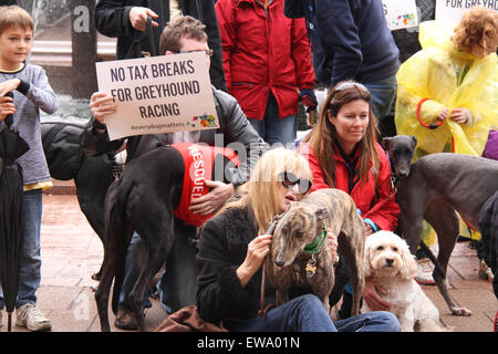 Sydney, Australie. 21 juin 2015. Les propriétaires de lévriers et partisanes ont marché à partir de la bibliothèque de l'État autour de Hyde Park pour promouvoir l'adoption de lévriers et mieux faire connaître le sort des lévriers de course en Australie. Crédit : Richard Milnes/Alamy Live News Banque D'Images