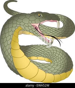 Snake, vert et jaune, crocs, langue fourchue, vector illustration Illustration de Vecteur