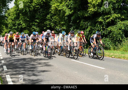 Piddington, España. 21 Juin, 2015. Le peloton dans l'Aviva Womens Tour of Britain à travers Piddington Bucks 11,34 21 juin 2015. L'Aviva féminin est le seul niveau international 28 avril. Crédit : Michael Winters/Alamy Live News Banque D'Images