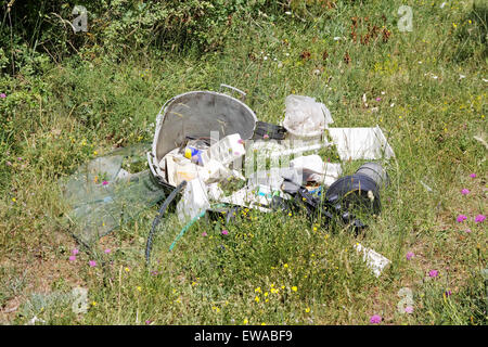 Nature polluée - déchets abandonnés dans la nature Banque D'Images