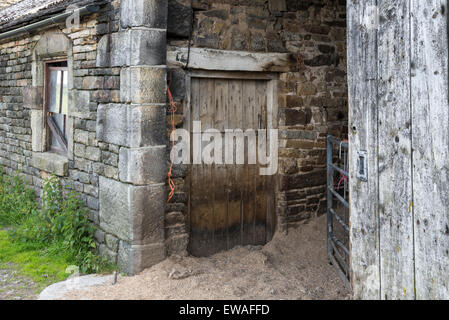 Vieux bâtiments de ferme dans le Nord de l'Angleterre avec murs en pierre et des portes en bois patiné. Banque D'Images