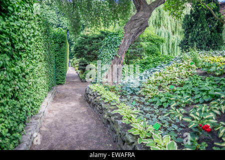 Jardins botaniques de mystérieux vert au printemps Wroclaw Banque D'Images