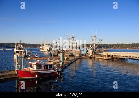 Bateaux à marina, Nanaimo, île de Vancouver, Colombie-Britannique Banque D'Images