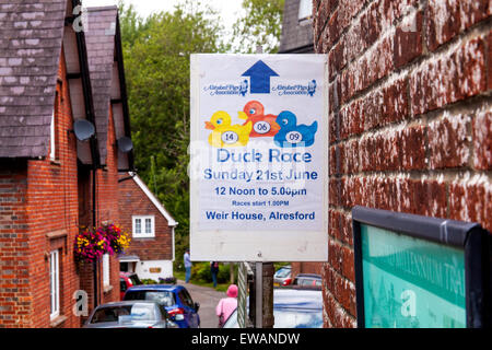 La course de canards, signe de charité Alresford, Hampshire, Angleterre. Banque D'Images