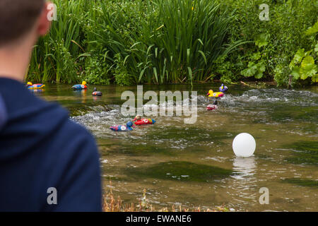 La course de canards à Weir House, Alresford, Hampshire, Angleterre. Banque D'Images