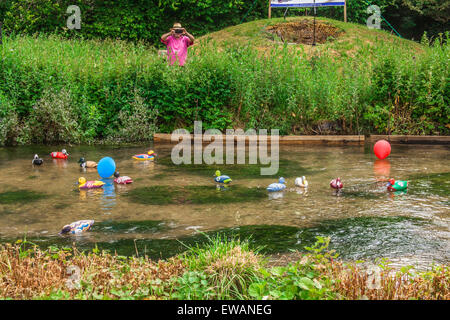 La course de canards à Weir House, Alresford, Hampshire, Angleterre. Banque D'Images