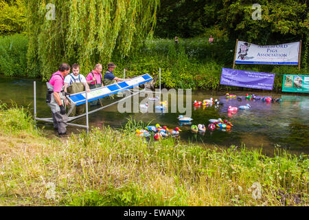 Début de la course de canards à Weir House, Alresford, Hampshire, Angleterre. Banque D'Images