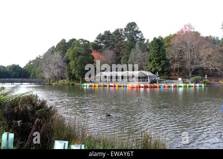 Le lac Emerald Park Victoria Australie Banque D'Images