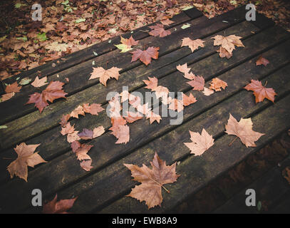 Mot écrit avec des feuilles d'automne sur une table dans un parc. Banque D'Images