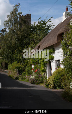 Doone,chalet,Dunsford s/n et de chaume,uk, en plein air, de rue, ville, maisons, blanc, 24, Lane, attrayante, vieux, pittoresque, village, Banque D'Images